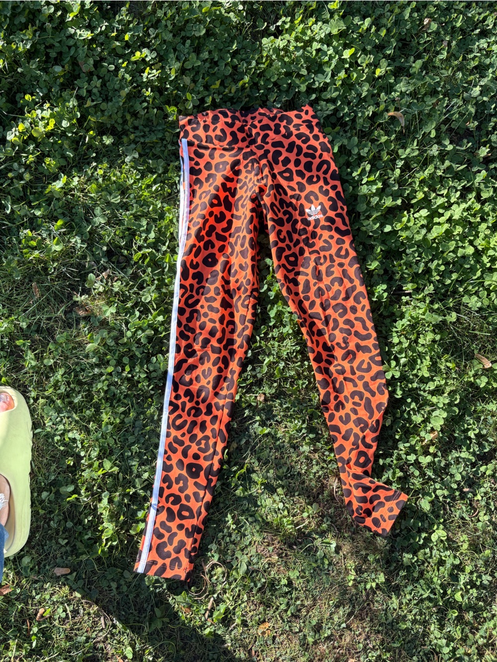 Adidas Orange Leopard Print Track Leggings XS